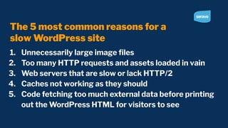 The 5 most common reasons for a slow WordPress site and how to fix them ...