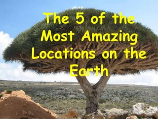 The 5 of the
 Most Amazing
Locations on the
     Earth
 