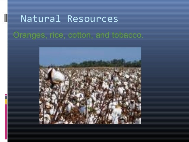 Vermont Natural Gas And Oil Resources Board Vermont Natural Gas And Oil Resources Board