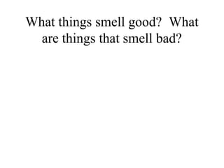 What things smell good? What
  are things that smell bad?
 