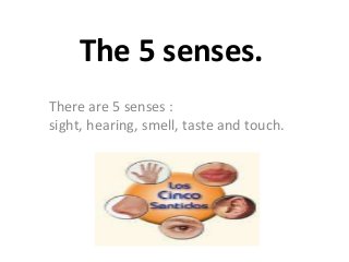 The 5 senses.
There are 5 senses :
sight, hearing, smell, taste and touch.
 