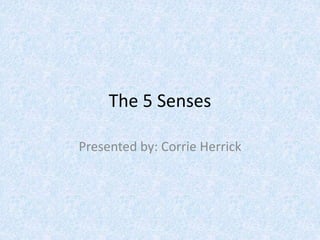 The 5 Senses
Presented by: Corrie Herrick
 