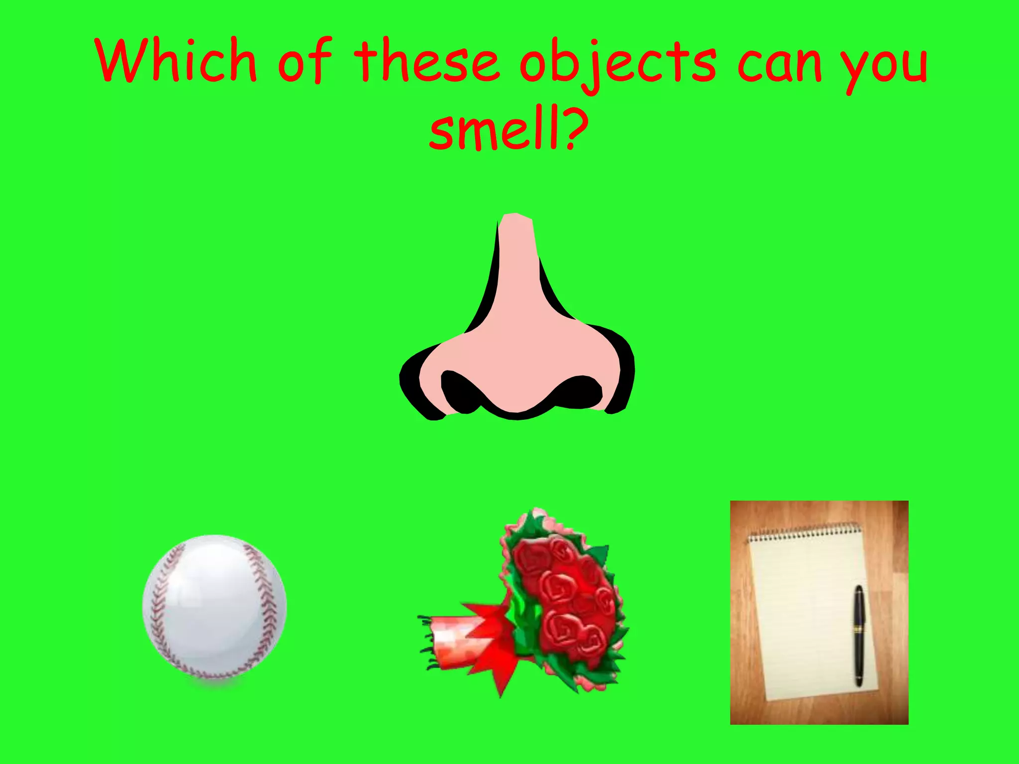 Which of these objects can you
            smell?
 
