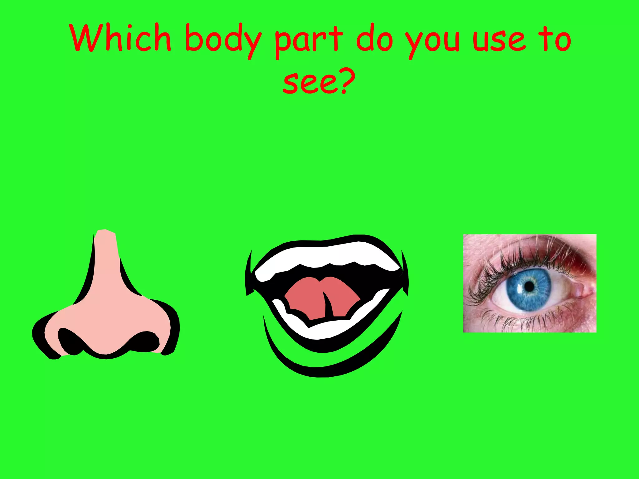Which body part do you use to
           see?
 