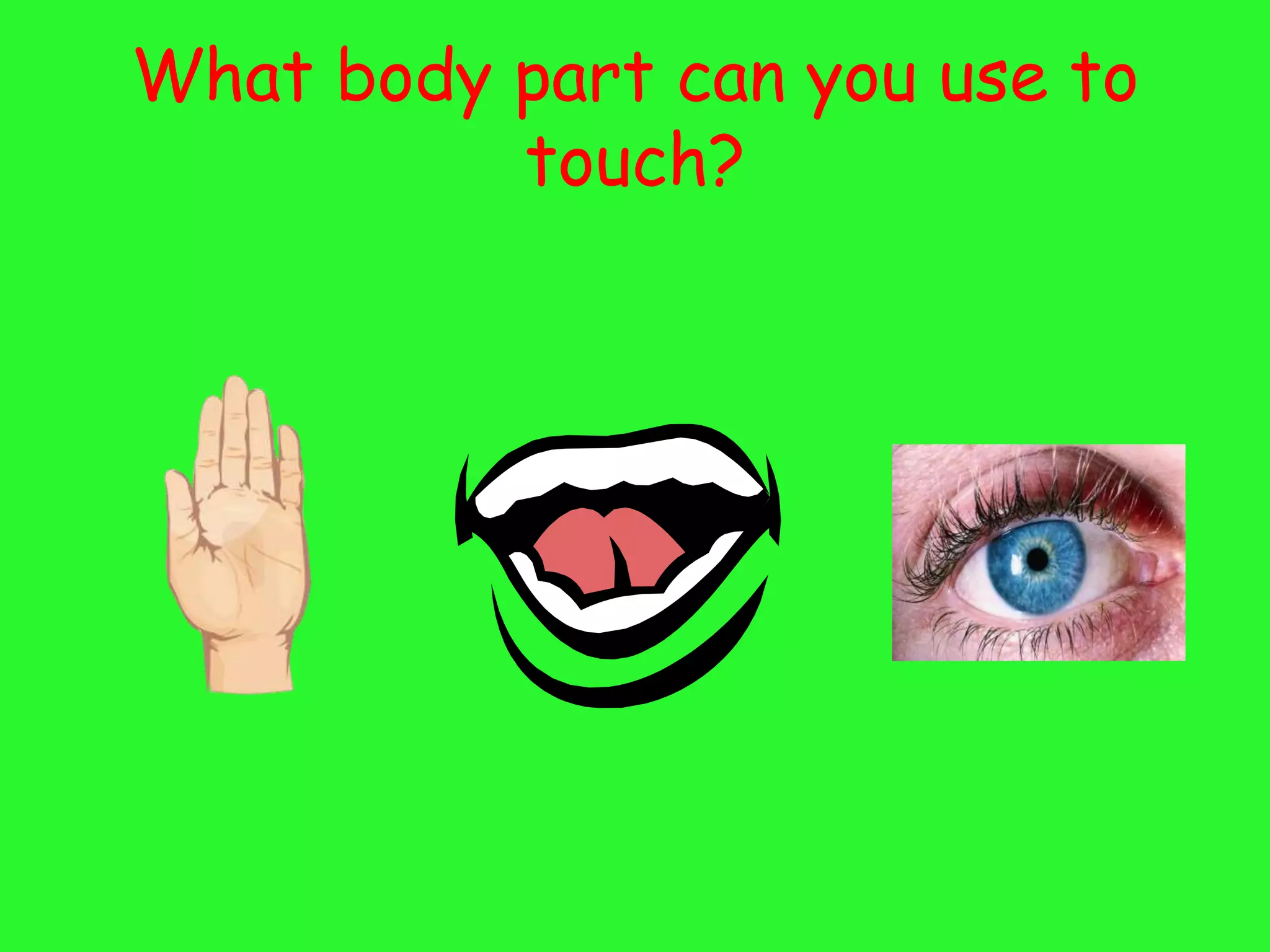What body part can you use to
          touch?
 