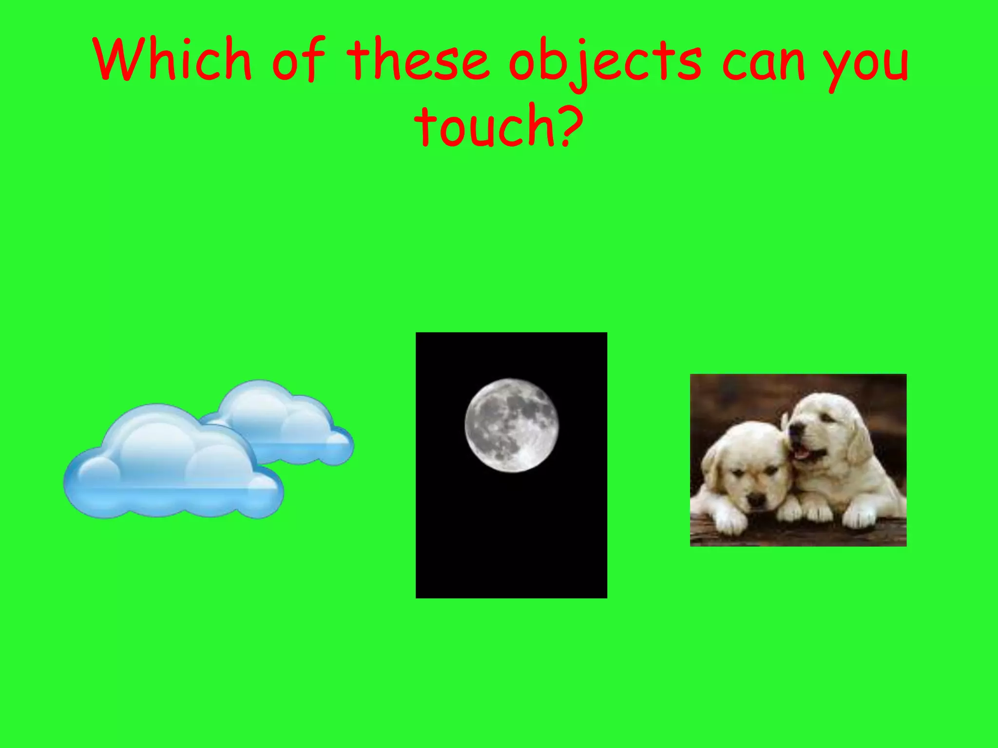 Which of these objects can you
           touch?
 
