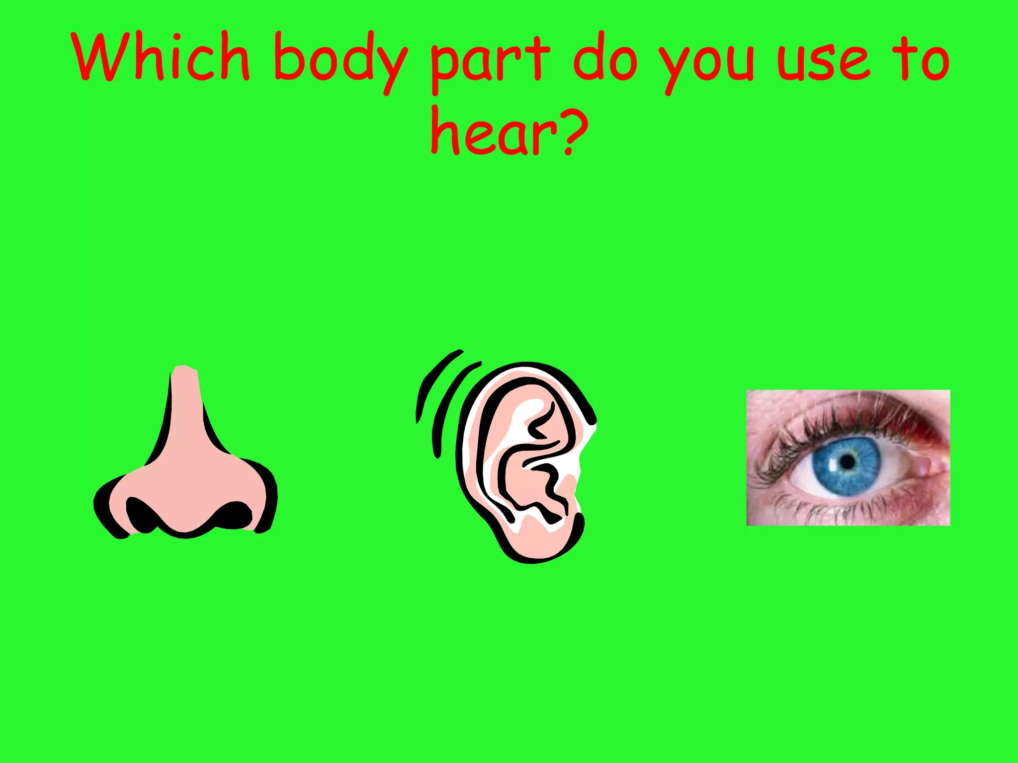Which body part do you use to
           hear?
 