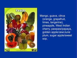 Mango, guava, citrus
(orange, grapefruit,
limes, tangerine),
pineapple, West Indian
cherry, pawpaw/papaya,
golden apple/Jew/June
plum, sugar apple/sweet
sop.
 