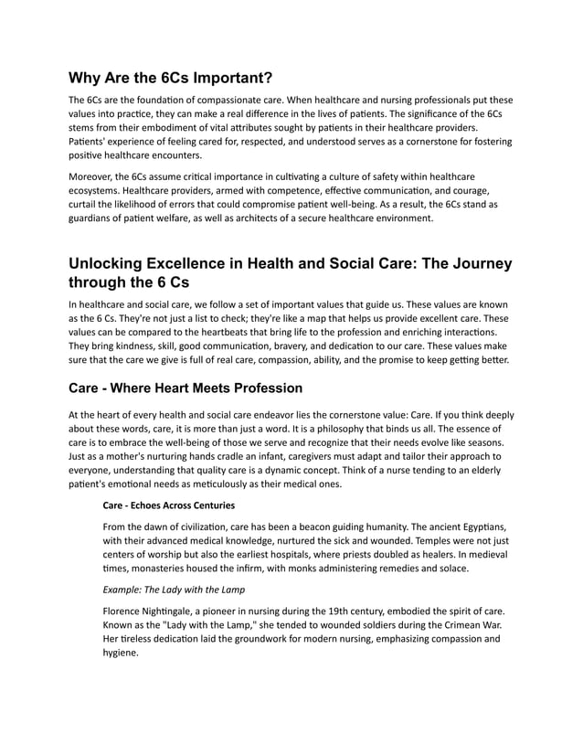The 6 cs of care docx