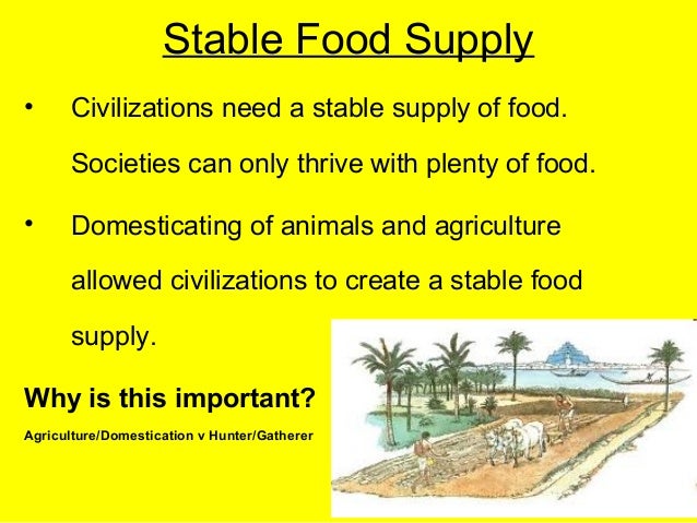 the 7 characteristics of a civilization characteristics of a civilization
