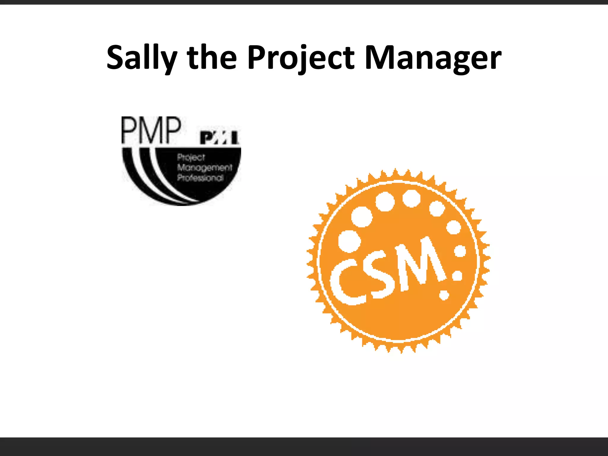 Sally the Project Manager