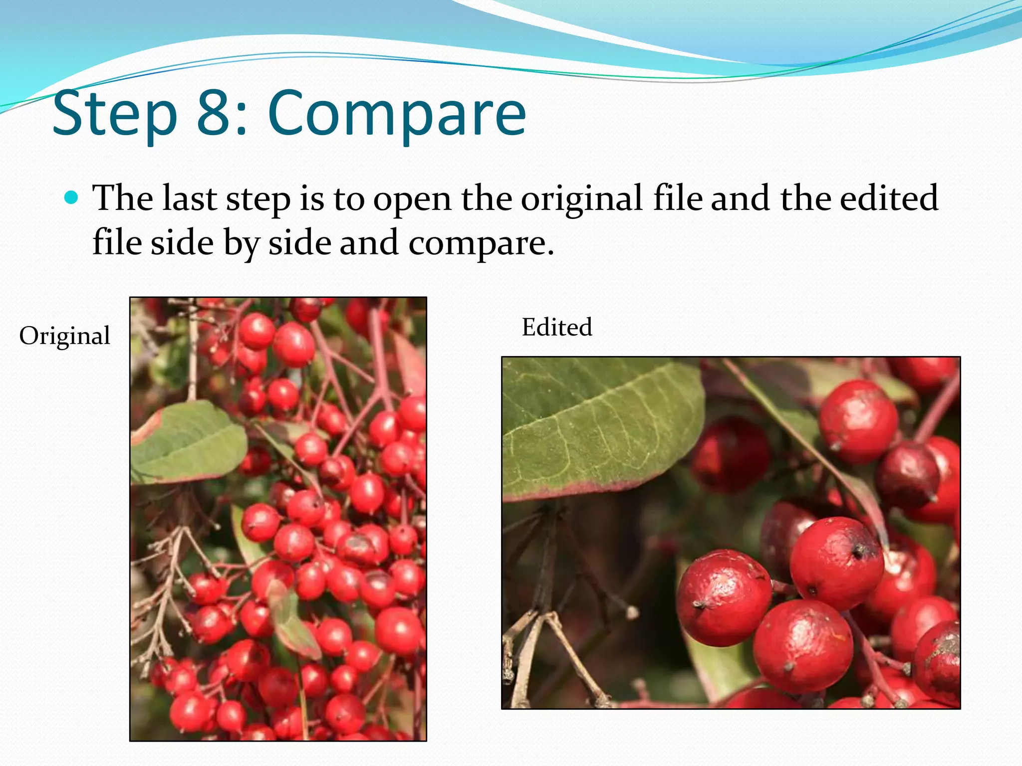 Step 7: SaveSave your edits as a new file. By doing this you will preserve the original image. Later, if you determine the edits were not adequate or different edits need to be accomplished, you will have the option to re-edit the original photo.Click Save As, select JPEG as the Format from the Format drop down menuFormat drop downSelect JPEG
