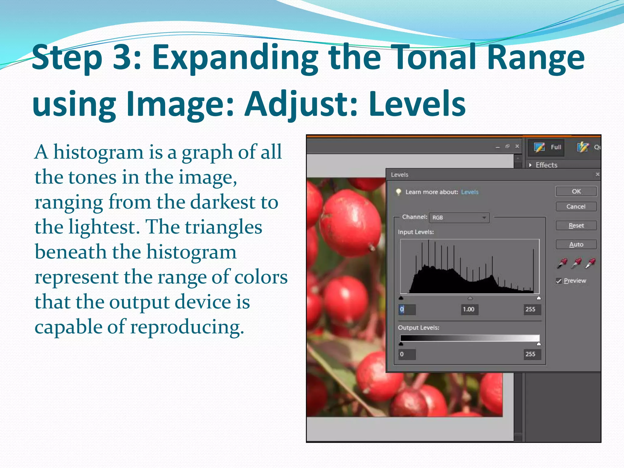 Step 3: Expanding the Tonal Range using Image: Adjust: LevelsDigital cameras are limited in the range of colors they can capture. This can be compensated for using the Levels command.Choose Enhance: Adjust: Lighting: Levels. The mountain in the middle of the dialog box is actually called a Historgram. Historgram