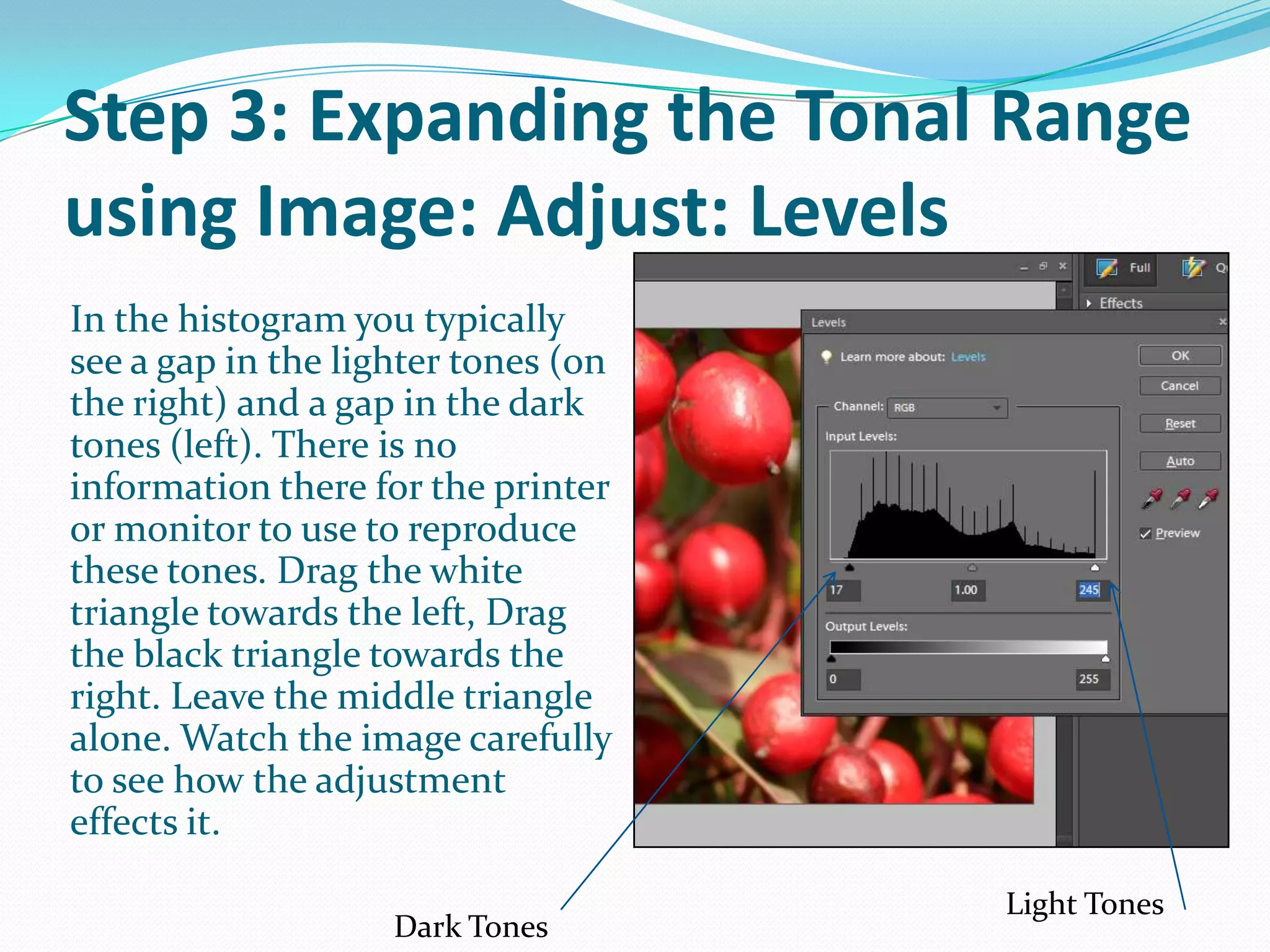 Step 3: Expanding the Tonal Range using Image: Adjust: LevelsA histogram is a graph of all the tones in the image, ranging from the darkest to the lightest. The triangles beneath the histogram represent the range of colors that the output device is capable of reproducing.