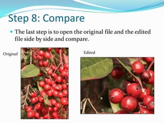 Step 7: SaveSave your edits as a new file. By doing this you will preserve the original image. Later, if you determine the edits were not adequate or different edits need to be accomplished, you will have the option to re-edit the original photo.Click Save As, select JPEG as the Format from the Format drop down menuFormat drop downSelect JPEG