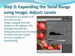Step 3: Expanding the Tonal Range using Image: Adjust: LevelsDigital cameras are limited in the range of colors they can capture. This can be compensated for using the Levels command.Choose Enhance: Adjust: Lighting: Levels. The mountain in the middle of the dialog box is actually called a Historgram. Historgram