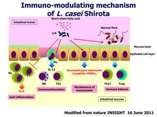 Modified from nature INSIGHT 16 June 2011
Increased gene expression
(cryptidin, PPARg)
IL-12
LcS
Epithelial cell layer
Treg
Mf
Th17Th1NK
IL-6
Intestinal lumen
Intestinal mucosa
Immunostimulation
Mucous layer
Normal flora
Anti-inflammation
Mf
Maintenance of
homeostasis Immune balance
Short-chain fatty acid
Immuno-modulating mechanism
of L. casei Shirota
 