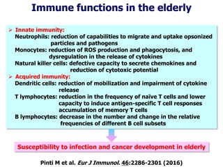 Immune functions in the elderly
 Innate immunity:
Neutrophils: reduction of capabilities to migrate and uptake opsonized
particles and pathogens
Monocytes: reduction of ROS production and phagocytosis, and
dysregulation in the release of cytokines
Natural killer cells: defective capacity to secrete chemokines and
reduction of cytotoxic potential
 Acquired immunity:
Dendritic cells: reduction of mobilization and impairment of cytokine
release
T lymphocytes: reduction in the frequency of naïve T cells and lower
capacity to induce antigen-specific T cell responses
accumulation of memory T cells
B lymphocytes: decrease in the number and change in the relative
frequencies of different B cell subsets
Susceptibility to infection and cancer development in elderly
Pinti M et al. Eur J Immunol. 46:2286-2301 (2016)
 