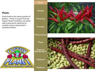 Plants



                                             People
Plants
Plants build on the special qualities of
gardens. Thanks to a grant from the         Planning
Captain Planet Foundation, we will be
able to grow plants significant to
multiple cultures represented in
Southwest Atlanta.                           Process



                                           Partnerships


                                              Place


                                            Physical
                                           Maintenance



                                            Patience



                                            Pleasure
 