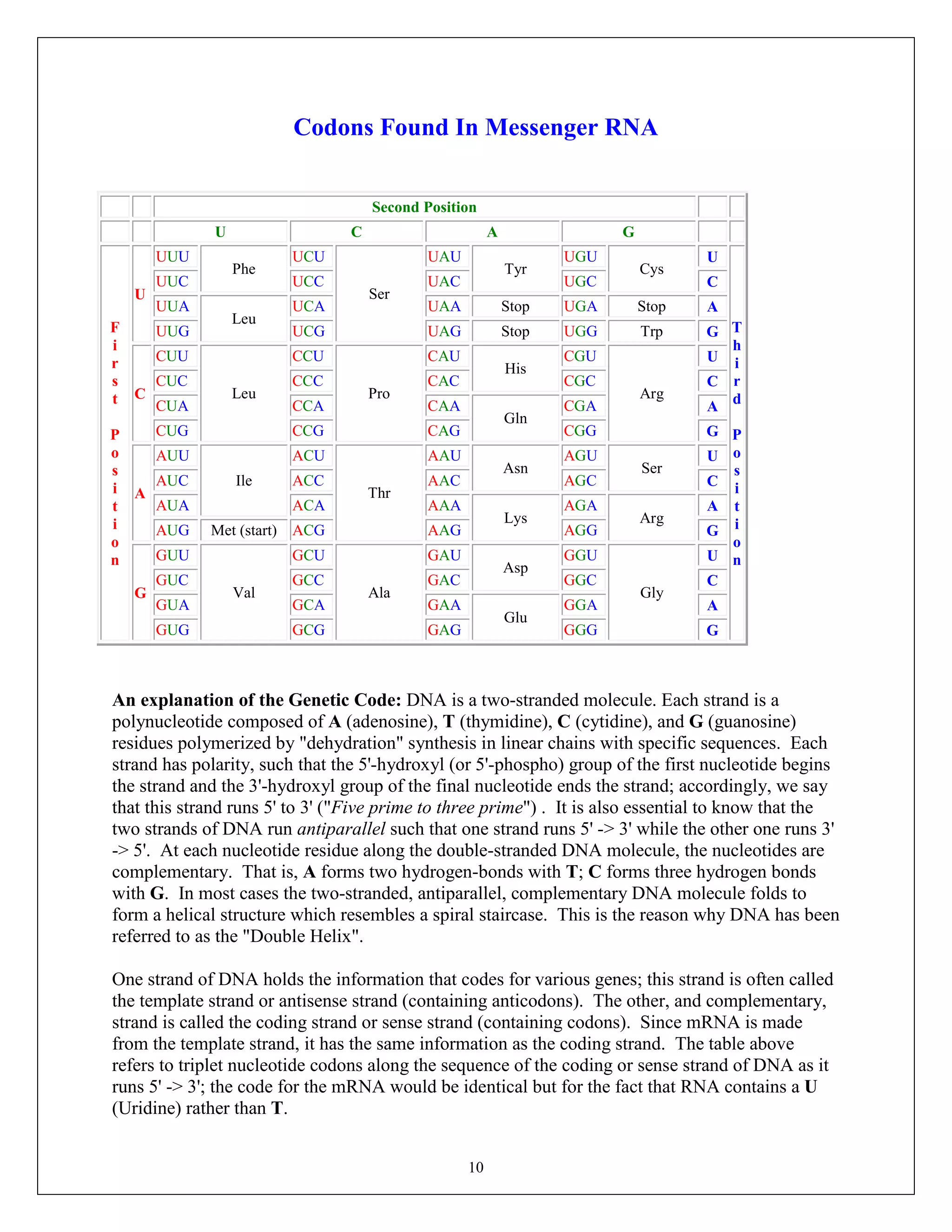 10
Codons Found In Messenger RNA
Second Position
U C A G
F
i
r
s
t
P
o
s
i
t
i
o
n
U
UUU
Phe
UCU
Ser
UAU
Tyr
UGU
Cys
U
T
h
i
r
d
P
o
s
i
t
i
o
n
UUC UCC UAC UGC C
UUA
Leu
UCA UAA Stop UGA Stop A
UUG UCG UAG Stop UGG Trp G
C
CUU
Leu
CCU
Pro
CAU
His
CGU
Arg
U
CUC CCC CAC CGC C
CUA CCA CAA
Gln
CGA A
CUG CCG CAG CGG G
A
AUU
Ile
ACU
Thr
AAU
Asn
AGU
Ser
U
AUC ACC AAC AGC C
AUA ACA AAA
Lys
AGA
Arg
A
AUG Met (start) ACG AAG AGG G
G
GUU
Val
GCU
Ala
GAU
Asp
GGU
Gly
U
GUC GCC GAC GGC C
GUA GCA GAA
Glu
GGA A
GUG GCG GAG GGG G
An explanation of the Genetic Code: DNA is a two-stranded molecule. Each strand is a
polynucleotide composed of A (adenosine), T (thymidine), C (cytidine), and G (guanosine)
residues polymerized by "dehydration" synthesis in linear chains with specific sequences. Each
strand has polarity, such that the 5'-hydroxyl (or 5'-phospho) group of the first nucleotide begins
the strand and the 3'-hydroxyl group of the final nucleotide ends the strand; accordingly, we say
that this strand runs 5' to 3' ("Five prime to three prime") . It is also essential to know that the
two strands of DNA run antiparallel such that one strand runs 5' -> 3' while the other one runs 3'
-> 5'. At each nucleotide residue along the double-stranded DNA molecule, the nucleotides are
complementary. That is, A forms two hydrogen-bonds with T; C forms three hydrogen bonds
with G. In most cases the two-stranded, antiparallel, complementary DNA molecule folds to
form a helical structure which resembles a spiral staircase. This is the reason why DNA has been
referred to as the "Double Helix".
One strand of DNA holds the information that codes for various genes; this strand is often called
the template strand or antisense strand (containing anticodons). The other, and complementary,
strand is called the coding strand or sense strand (containing codons). Since mRNA is made
from the template strand, it has the same information as the coding strand. The table above
refers to triplet nucleotide codons along the sequence of the coding or sense strand of DNA as it
runs 5' -> 3'; the code for the mRNA would be identical but for the fact that RNA contains a U
(Uridine) rather than T.
 