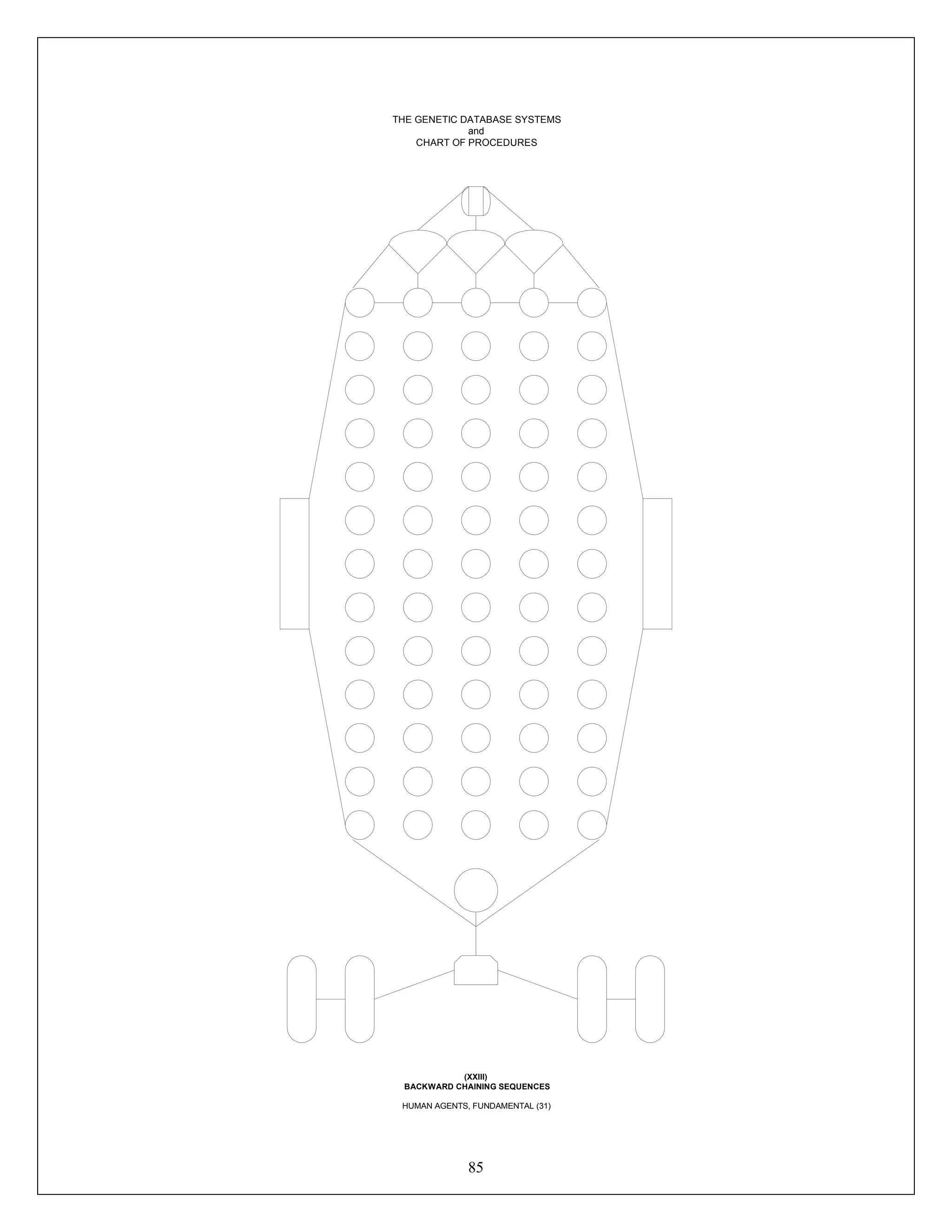 85
THE GENETIC DATABASE SYSTEMS
and
CHART OF PROCEDURES
(XXIII)
BACKWARD CHAINING SEQUENCES
HUMAN AGENTS, FUNDAMENTAL (31)
 