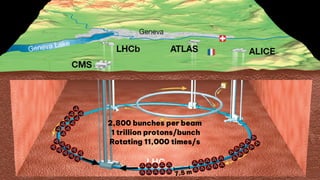 6
Blabla
• Dodge
• Dodge
Blabla
• Dodge
• Dodge
On-detector ML
7.5 m
2,800 bunches per beam
1 trillion protons/bunch
Rotating 11,000 times/s
 