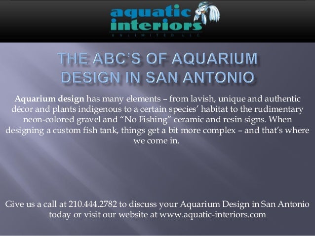 83 Aquarium Habitat Design Gratis Terbaru