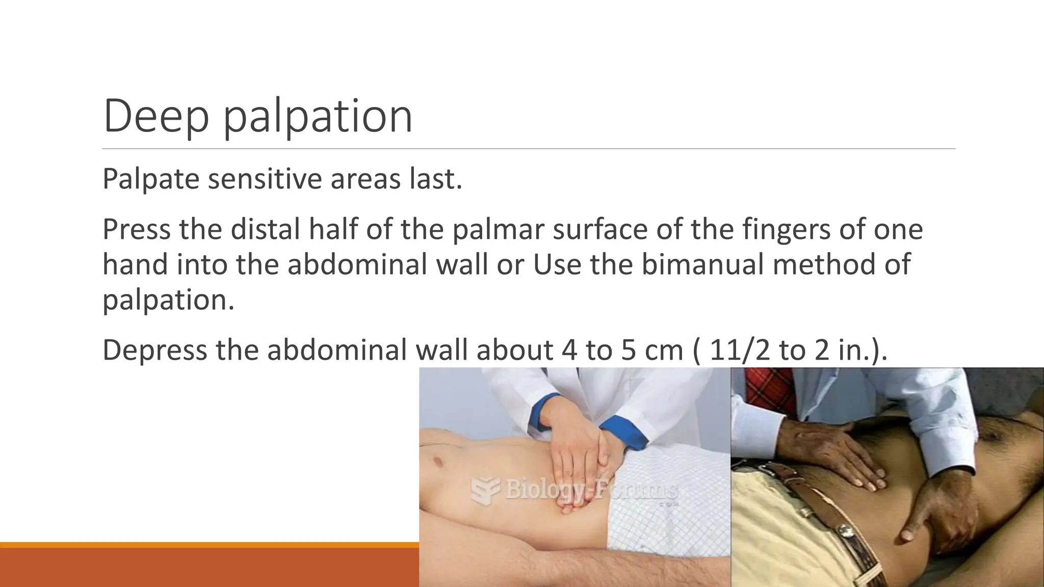 The Abdominal Assessment Physical Examination PPTX The Abdominal Assessment Physical Examination PPTX