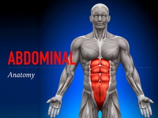 ABDOMINAL
Anatomy
 