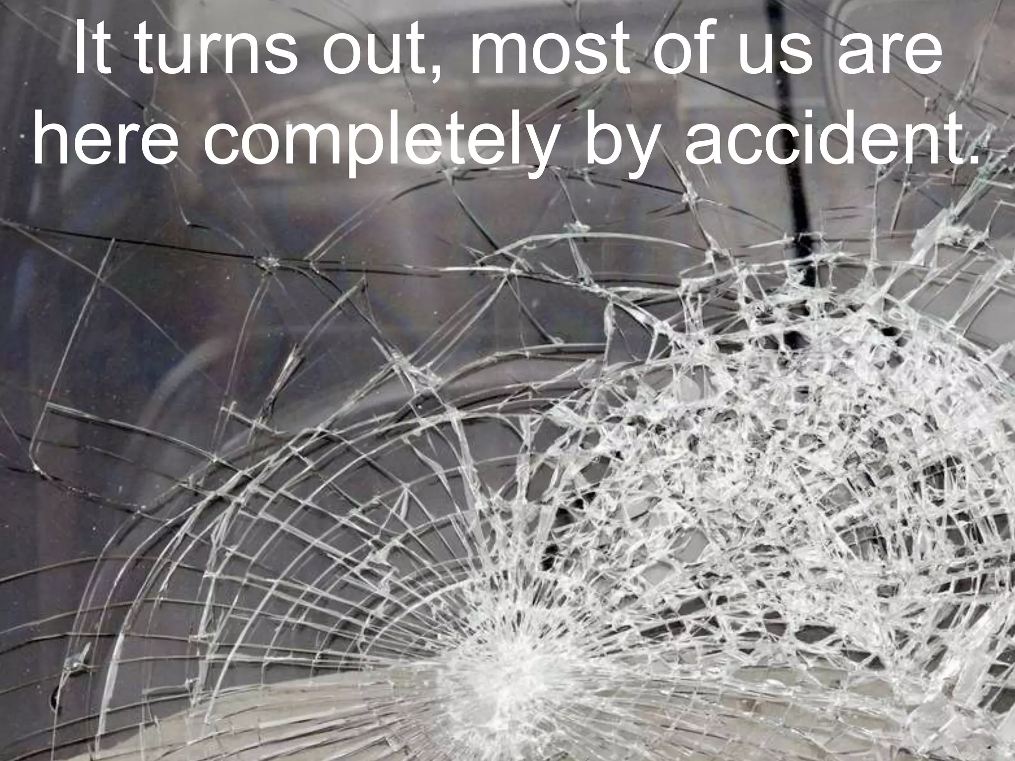 It turns out, most of us are
here completely by accident.
 