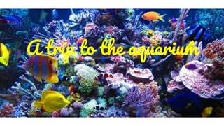 A trip to the aquarium
 