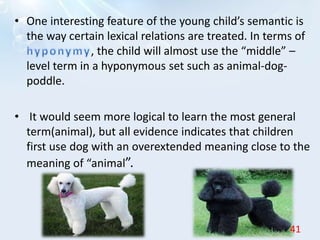 • One interesting feature of the young child’s semantic is
the way certain lexical relations are treated. In terms of
, the child will almost use the “middle” –
level term in a hyponymous set such as animal-dog-
poddle.
• It would seem more logical to learn the most general
term(animal), but all evidence indicates that children
first use dog with an overextended meaning close to the
meaning of “animal”.
41
 