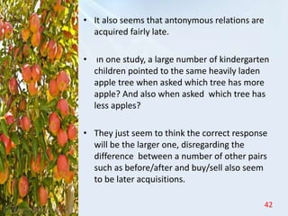 • It also seems that antonymous relations are
acquired fairly late.
• ın one study, a large number of kindergarten
children pointed to the same heavily laden
apple tree when asked which tree has more
apple? And also when asked which tree has
less apples?
• They just seem to think the correct response
will be the larger one, disregarding the
difference between a number of other pairs
such as before/after and buy/sell also seem
to be later acquisitions.
42
 