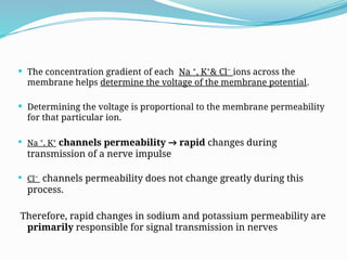 The concentration gradient of each Na ⁺, K⁺& Cl⁻ ions across the
membrane helps determine the voltage of the membrane potential.
 Determining the voltage is proportional to the membrane permeability
for that particular ion.
 Na ⁺, K⁺ channels permeability → rapid changes during
transmission of a nerve impulse
 Cl⁻ channels permeability does not change greatly during this
process.
Therefore, rapid changes in sodium and potassium permeability are
primarily responsible for signal transmission in nerves
 