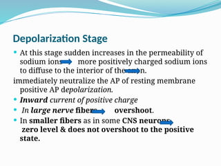 Depolarization Stage
 At this stage sudden increases in the permeability of
sodium ions more positively charged sodium ions
to diffuse to the interior of the axon.
immediately neutralize the AP of resting membrane
positive AP depolarization.
 Inward current of positive charge
 In large nerve fibers overshoot.
 In smaller fibers as in some CNS neurons
zero level & does not overshoot to the positive
state.
 