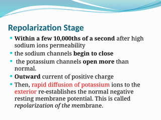 Repolarization Stage
 Within a few 10,000ths of a second after high
sodium ions permeability
 the sodium channels begin to close
 the potassium channels open more than
normal.
 Outward current of positive charge
 Then, rapid diffusion of potassium ions to the
exterior re-establishes the normal negative
resting membrane potential. This is called
repolarization of the membrane.
 