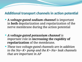 Additional transport channels in action potential
 A voltage-gated sodium channel is important
in both depolarization and repolarization of the
nerve membrane during the action potential
 A voltage-gated potassium channel is
important role in increasing the rapidity of
repolarization of the membrane.
 These two voltage-gated channels are in addition
to the Na+-K+ pump and the K+-Na+ leak channels
that are important in AP
 