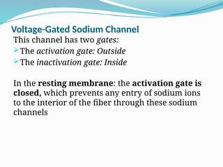 Voltage-Gated Sodium Channel
This channel has two gates:
The activation gate: Outside
The inactivation gate: Inside
In the resting membrane: the activation gate is
closed, which prevents any entry of sodium ions
to the interior of the fiber through these sodium
channels
 