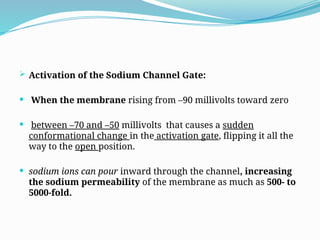  Activation of the Sodium Channel Gate:
 When the membrane rising from –90 millivolts toward zero
 between –70 and –50 millivolts that causes a sudden
conformational change in the activation gate, flipping it all the
way to the open position.
 sodium ions can pour inward through the channel, increasing
the sodium permeability of the membrane as much as 500- to
5000-fold.
 