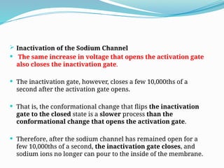  Inactivation of the Sodium Channel
 The same increase in voltage that opens the activation gate
also closes the inactivation gate.
 The inactivation gate, however, closes a few 10,000ths of a
second after the activation gate opens.
 That is, the conformational change that flips the inactivation
gate to the closed state is a slower process than the
conformational change that opens the activation gate.
 Therefore, after the sodium channel has remained open for a
few 10,000ths of a second, the inactivation gate closes, and
sodium ions no longer can pour to the inside of the membrane.
 