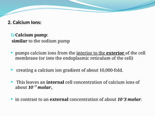 2. Calcium Ions:
1) Calcium pump:
similar to the sodium pump
 pumps calcium ions from the interior to the exterior of the cell
membrane (or into the endoplasmic reticulum of the cell)
 creating a calcium ion gradient of about 10,000-fold.
 This leaves an internal cell concentration of calcium ions of
about 10⁻⁷ molar,
 in contrast to an external concentration of about 10⁻3 molar.
 