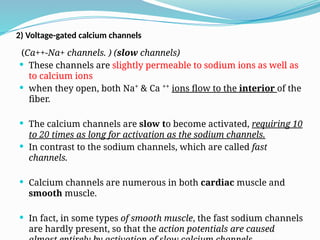 2) Voltage-gated calcium channels
(Ca++-Na+ channels. ) (slow channels)
 These channels are slightly permeable to sodium ions as well as
to calcium ions
 when they open, both Na⁺ & Ca ⁺⁺ ions flow to the interior of the
fiber.
 The calcium channels are slow to become activated, requiring 10
to 20 times as long for activation as the sodium channels.
 In contrast to the sodium channels, which are called fast
channels.
 Calcium channels are numerous in both cardiac muscle and
smooth muscle.
 In fact, in some types of smooth muscle, the fast sodium channels
are hardly present, so that the action potentials are caused
 