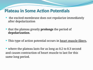 Plateau in Some Action Potentials
 the excited membrane does not repolarize immediately
after depolarization
 that the plateau greatly prolongs the period of
depolarization.
 This type of action potential occurs in heart muscle fibers,
 where the plateau lasts for as long as 0.2 to 0.3 second
and causes contraction of heart muscle to last for this
same long period.
 