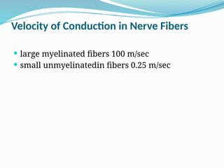 Velocity of Conduction in Nerve Fibers
 large myelinated fibers 100 m/sec
 small unmyelinatedin fibers 0.25 m/sec
 