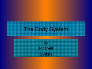 The actual body system 2.0