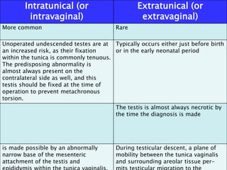 Intratunical (or
intravaginal)
Extratunical (or
extravaginal)
More common Rare
Unoperated undescended testes are at
an increased risk, as their fixation
within the tunica is commonly tenuous.
The predisposing abnormality is
almost always present on the
contralateral side as well, and this
testis should be fixed at the time of
operation to prevent metachronous
torsion.
Typically occurs either just before birth
or in the early neonatal period
The testis is almost always necrotic by
the time the diagnosis is made
is made possible by an abnormally
narrow base of the mesenteric
attachment of the testis and
During testicular descent, a plane of
mobility between the tunica vaginalis
and surrounding areolar tissue per-
 
