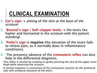 CLINICAL EXAMINATION
1. Ger’s sign: + pitting of the skin at the base of the
scrotum
2. Brunzel’s sign / bell-clapper testis: + the testis lies
higher and horizontal in the scrotum with the patient
standing)
3. Prehn’s sign is negative (the elevation of the testis fails
to relieve pain, as it normally does in inflammatory
conditions).
4. The presence/absence of the cremasteric reflex can also
help in the differential diagnosis.
-This reflex is elicited by stroking or gently pinching the skin of the upper inner
thigh while observing the scrotum.
-A normal response is contraction of the cremasteric muscles on the ipsilateral
side with unilateral elevation of the testis.
 