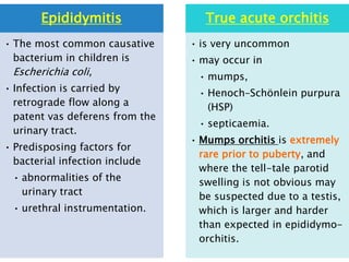 Epididymitis
• The most common causative
bacterium in children is
Escherichia coli,
• Infection is carried by
retrograde flow along a
patent vas deferens from the
urinary tract.
• Predisposing factors for
bacterial infection include
• abnormalities of the
urinary tract
• urethral instrumentation.
True acute orchitis
• is very uncommon
• may occur in
• mumps,
• Henoch–Schönlein purpura
(HSP)
• septicaemia.
• Mumps orchitis is extremely
rare prior to puberty, and
where the tell-tale parotid
swelling is not obvious may
be suspected due to a testis,
which is larger and harder
than expected in epididymo-
orchitis.
 