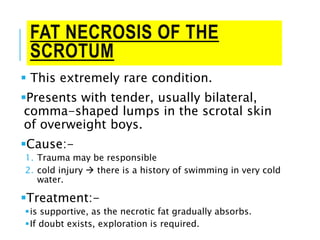FAT NECROSIS OF THE
SCROTUM
 This extremely rare condition.
Presents with tender, usually bilateral,
comma-shaped lumps in the scrotal skin
of overweight boys.
Cause:-
1. Trauma may be responsible
2. cold injury  there is a history of swimming in very cold
water.
Treatment:-
is supportive, as the necrotic fat gradually absorbs.
If doubt exists, exploration is required.
 