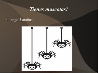 Tienes mascotas?
si tengo 3 arañas
